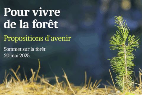 Sommet « Pour vivre de la forêt » :propositions d’avenir pour notre régime forestier